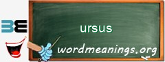 WordMeaning blackboard for ursus